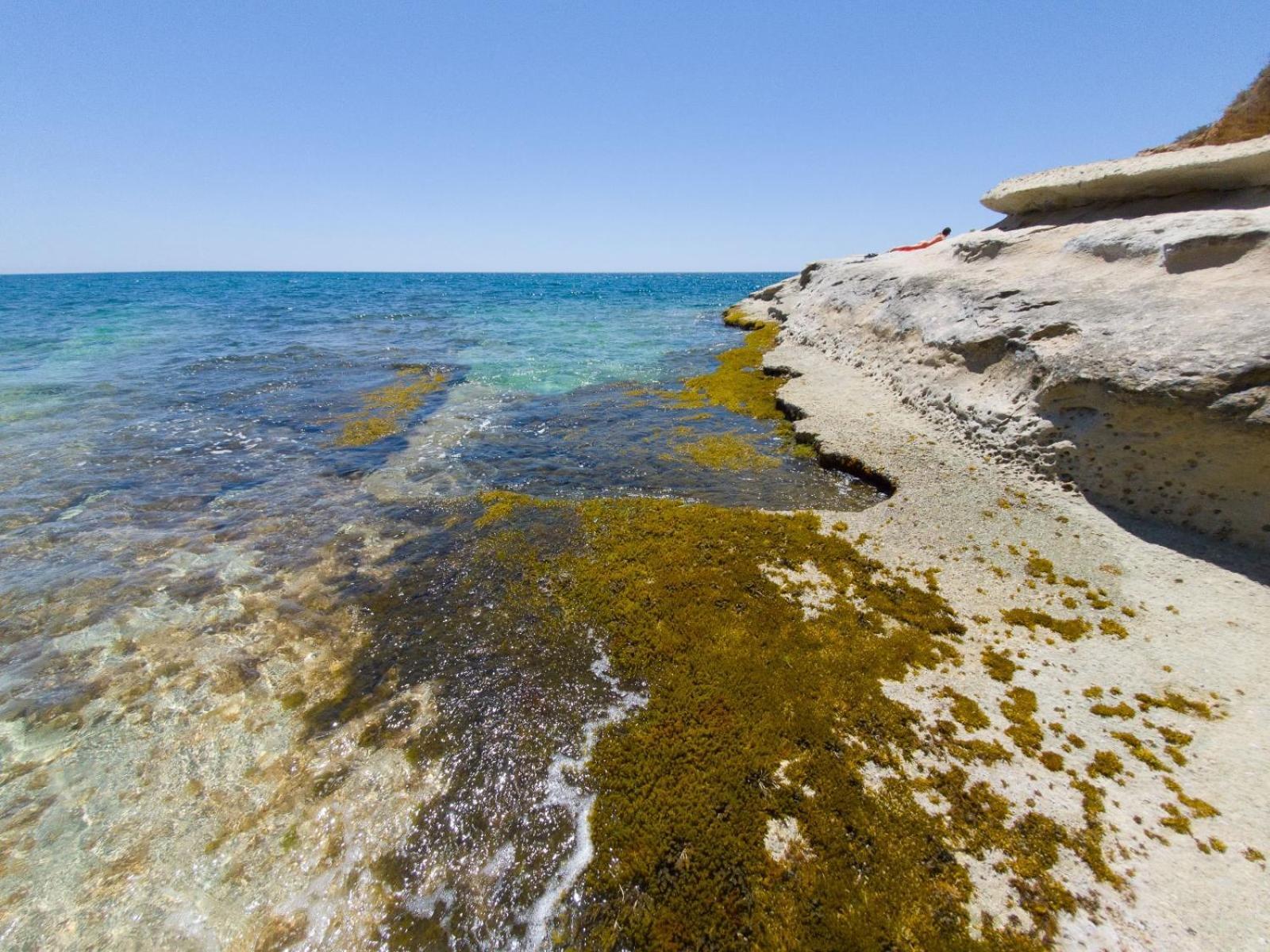 Villa Casotto Il Carrubo, A 100 Mt Dal Mare! Avola Exterior foto