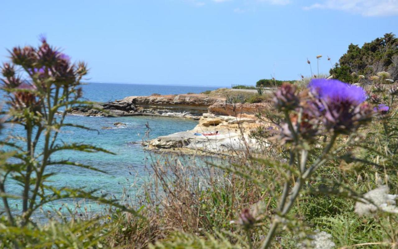 Villa Casotto Il Carrubo, A 100 Mt Dal Mare! Avola Exterior foto